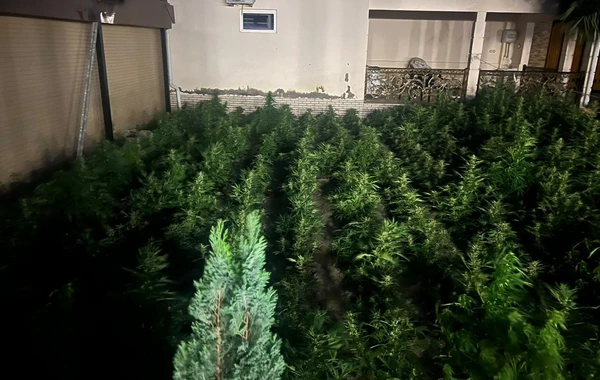 Polisdən XÜSUSİ ƏMƏLİYYAT: 19 nəfər saxlanıldı - FOTO
