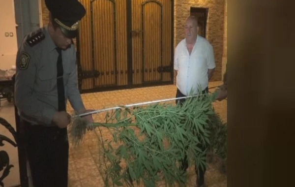 Polisdən XÜSUSİ ƏMƏLİYYAT: 19 nəfər saxlanıldı - FOTO