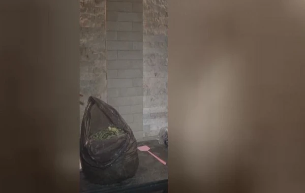 Polisdən XÜSUSİ ƏMƏLİYYAT: 19 nəfər saxlanıldı - FOTO