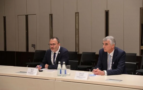 SOCAR-ın prezidenti “TotalEnergies”in Avropa üzrə birinci vitse-prezidenti ilə görüşüb - FOTO