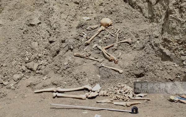 Şuşada kütləvi məzarlıq aşkarlanan əraziyə səfər təşkil olunub, faktlar nümayiş etdirilib - FOTO