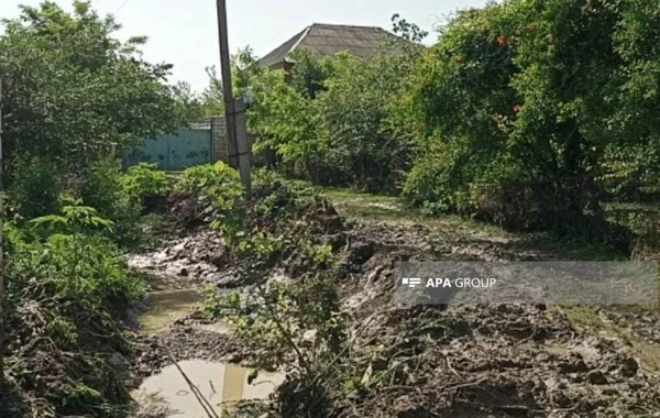 Qərb bölgəsində güclü külək və yağış bir sıra fəsadlara səbəb olub - FOTO