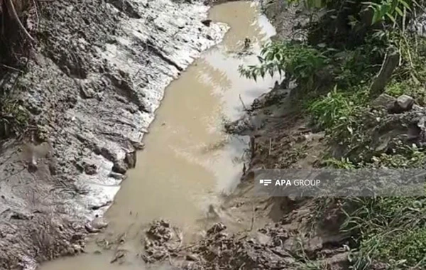 Qərb bölgəsində güclü külək və yağış bir sıra fəsadlara səbəb olub - FOTO