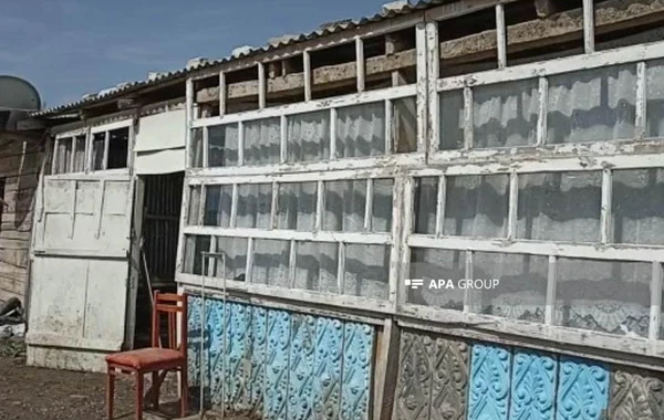 Сильный ветер и дождь причинили ущерб в западном регионе Азербайджана - ФОТО
