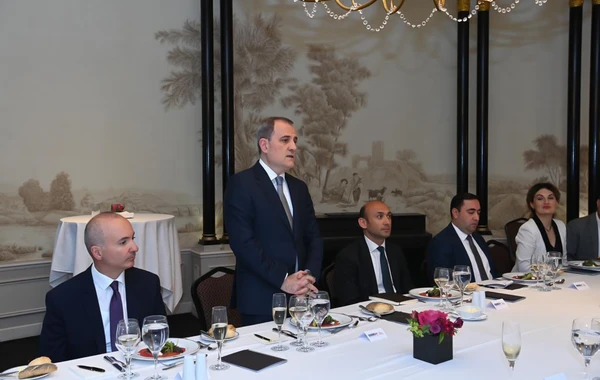 Ceyhun Bayramov Avstriyada dəyirmi masada iştirak edib - FOTO