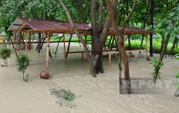 Qaxda leysan olub, çay daşıb, restoran və evlərin həyətlərini su basıb - FOTO