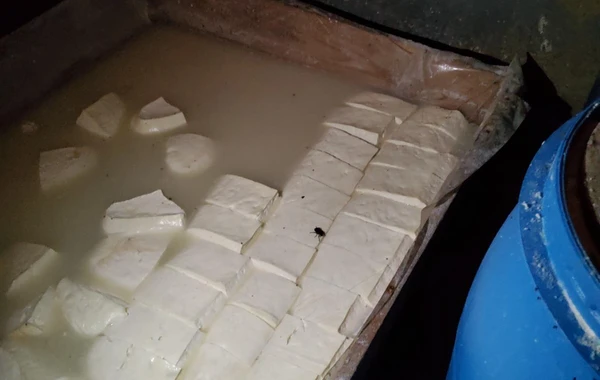 Azərbaycanda süd emalı sexinin fəaliyyəti məhdudlaşdırılıb - FOTO