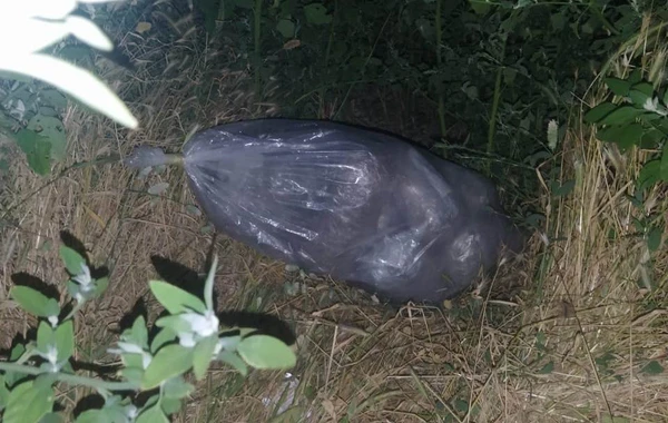 İran və Rusiyadan Azərbaycana qanunsuz keçmək istəyən şəxslər saxlanılıb - FOTO