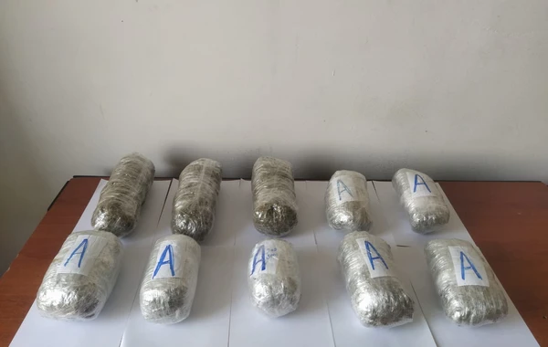 İran və Rusiyadan Azərbaycana qanunsuz keçmək istəyən şəxslər saxlanılıb - FOTO