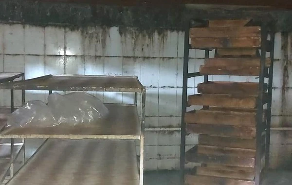 Qazaxda çörək istehsalı müəssisəsində nöqsanlar aşkarlanıb - FOTO