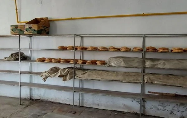 Qazaxda çörək istehsalı müəssisəsində nöqsanlar aşkarlanıb - FOTO