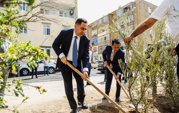 Bakıda yeni park açıldı - Uşaqlar pulsuz əylənə biləcək - FOTO