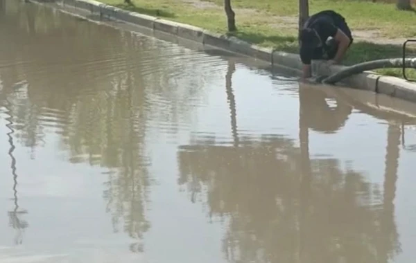 Güclü külək dam örtüklərini uçurdu, irigövdəli ağacı aşırıb yolları bağladı - FOTO/VİDEO