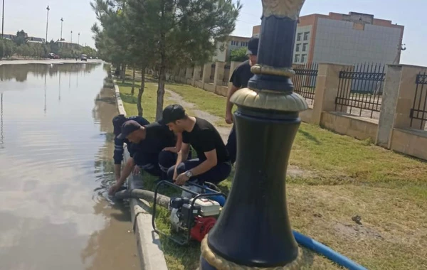 Güclü külək dam örtüklərini uçurdu, irigövdəli ağacı aşırıb yolları bağladı - FOTO/VİDEO