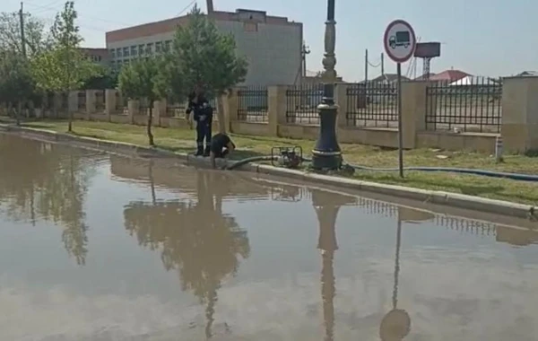 Güclü külək dam örtüklərini uçurdu, irigövdəli ağacı aşırıb yolları bağladı - FOTO/VİDEO
