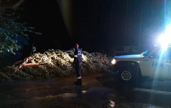 Güclü külək dam örtüklərini uçurdu, irigövdəli ağacı aşırıb yolları bağladı - FOTO/VİDEO