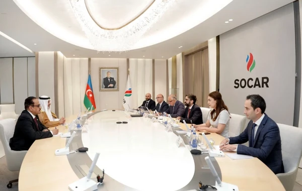 SOCAR ilə OPEC arasında əməkdaşlıq perspektivləri nəzərdən keçirilib - FOTO