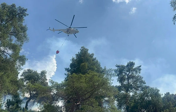 Antalyada meşə yanğını başlayıb - FOTO