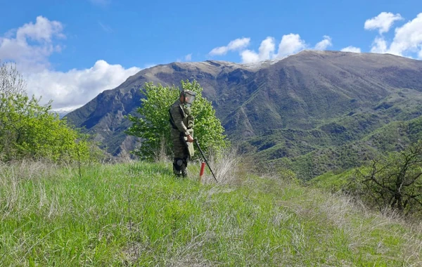MN: "Bu ay 640 hektaradək ərazi minalardan tam təmizlənib" - FOTO/VİDEO