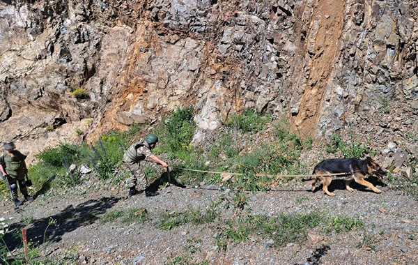 MN: "Bu ay 640 hektaradək ərazi minalardan tam təmizlənib" - FOTO/VİDEO