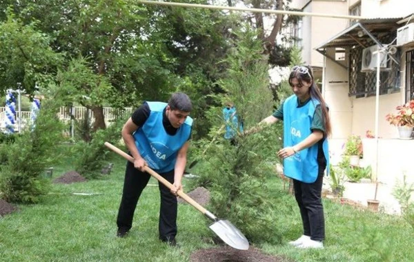 Bakıda abadlaşdırılan növbəti həyət sakinlərin istifadəsinə verilib - FOTO