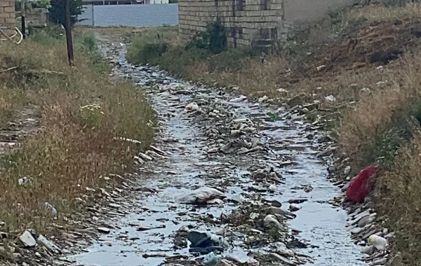 Azərbaycanda bir neçə vəzifəli şəxs cəzalandırılıb - FOTO