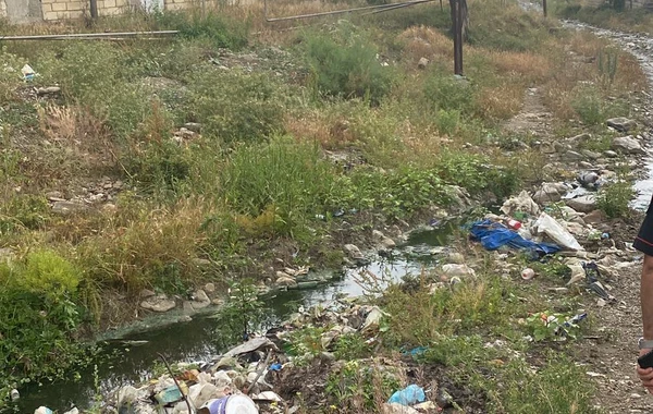 Azərbaycanda bir neçə vəzifəli şəxs cəzalandırılıb - FOTO