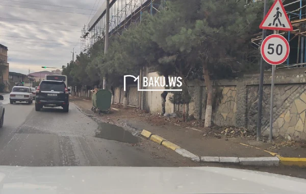Masazırda ağacları kəsib yerini betonladılar - FOTO