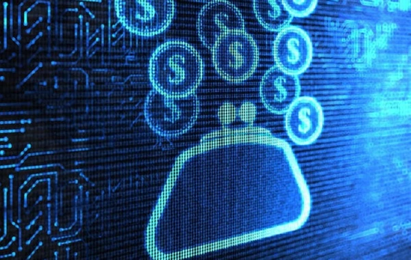 Ölkəmizin pul bazarında yeni anlayış - Elektron pul, nə dərəcədə etibarlıdır?