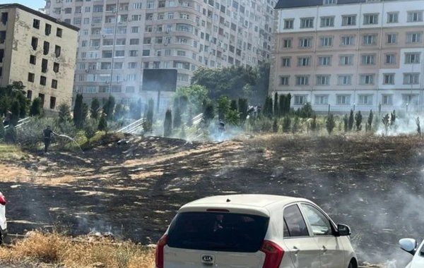Возникшее на территории общежития БГУ возгорание ликвидировано - ОБНОВЛЕНО + ФОТО