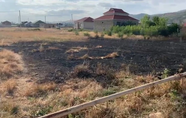 Yanğın törətməkdə şübhəli bilinən şəxs müəyyən edilib - FOTO/VİDEO
