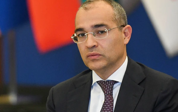 Mikayıl Cabbarov: KOBİA-nın biznesin qurulması və inkişafında fəaliyyəti təqdirəlayiqdir