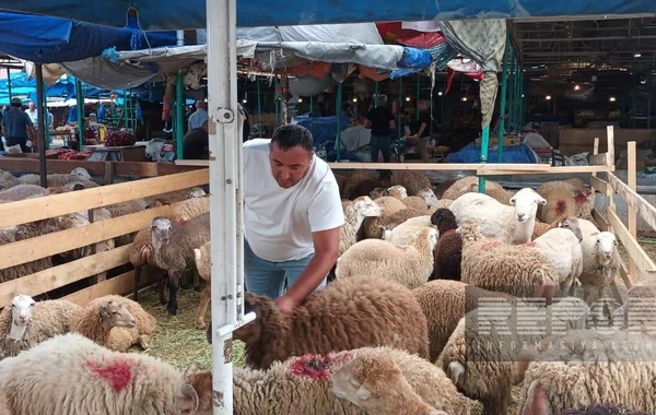 Bakıda əhali qurban kəsib - FOTO