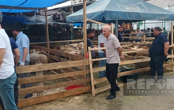 Bakıda əhali qurban kəsib - FOTO