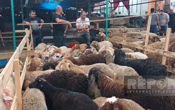 Bakıda əhali qurban kəsib - FOTO