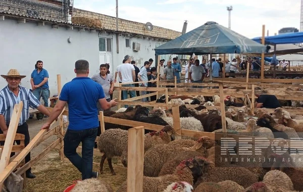 Bakıda əhali qurban kəsib - FOTO