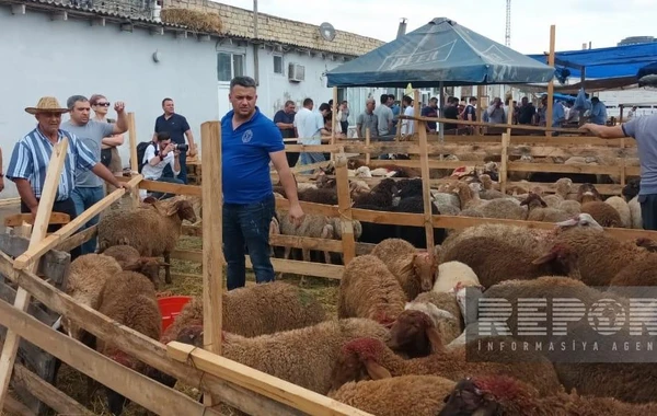 Bakıda əhali qurban kəsib - FOTO