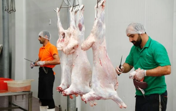 В Азербайджане забой и продажа жертвенных животных осуществляется в 138 пунктах - ФОТО