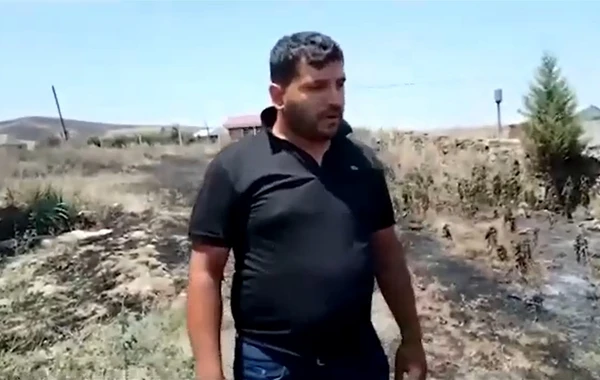 Taxıl sahəsində yanğın törədən şəxs müəyyən edildi - VİDEO