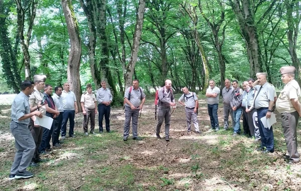 Dövlət Xidməti yanğın təhlükəsizliyinə dair silsilə tədbirlər keçirib - FOTO