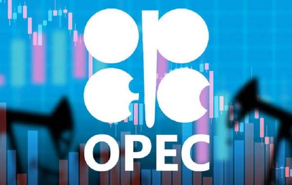 Azərbaycan OPEK-ə üzv olur? - AÇIQLAMA