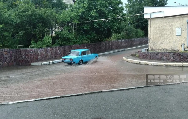 Daşkəsəndə leysan yağışlar təsərrüfata ziyan vurub - FOTO