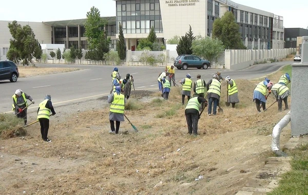 Bakıda quru ot, kol-kos və məişət tullantıları yığılan sahələr təmizlənib - FOTO/VİDEO