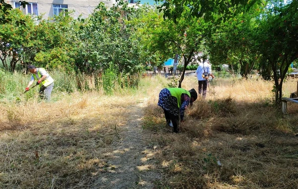 Bakıda quru ot, kol-kos və məişət tullantıları yığılan sahələr təmizlənib - FOTO/VİDEO