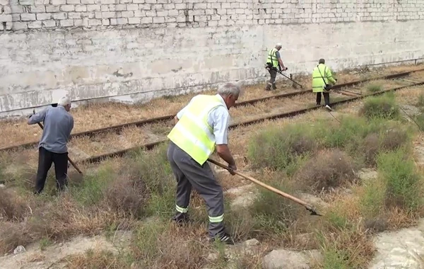 Bakıda quru ot, kol-kos və məişət tullantıları yığılan sahələr təmizlənib - FOTO/VİDEO