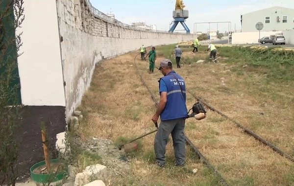 Bakıda quru ot, kol-kos və məişət tullantıları yığılan sahələr təmizlənib - FOTO/VİDEO