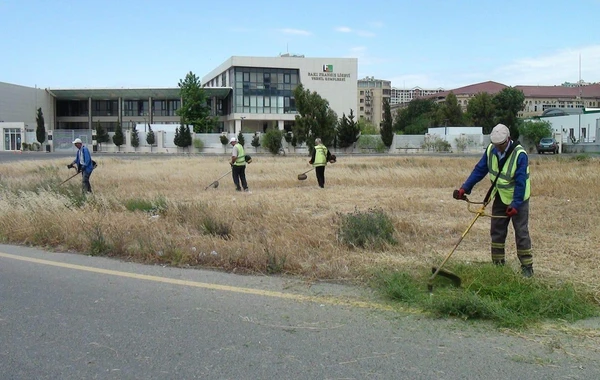 Bakıda quru ot, kol-kos və məişət tullantıları yığılan sahələr təmizlənib - FOTO/VİDEO