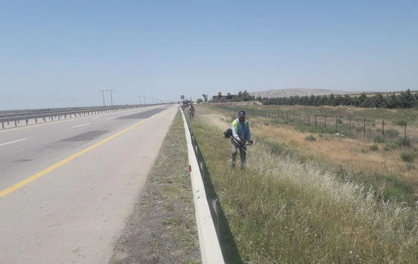 Bakıda quru ot, kol-kos və məişət tullantıları yığılan sahələr təmizlənib - FOTO/VİDEO