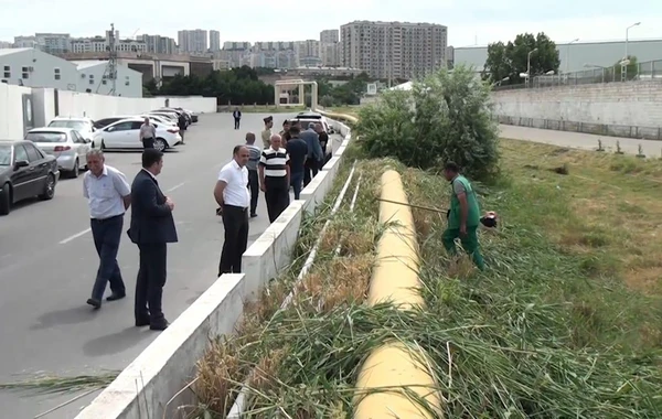 Bakıda quru ot, kol-kos və məişət tullantıları yığılan sahələr təmizlənib - FOTO/VİDEO