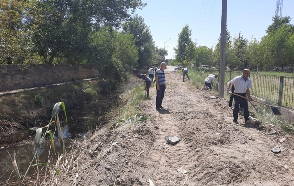 Bakıda quru ot, kol-kos və məişət tullantıları yığılan sahələr təmizlənib - FOTO/VİDEO